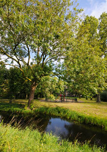 Bomen aan het water in het Vechtzoompark