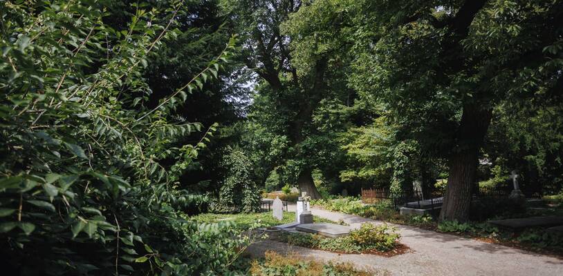 een wandelpad en graven op Soestbergen