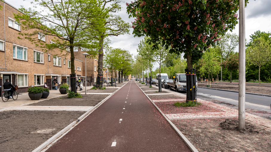 breed fietspad met aan 2 kanten ruimte voor bomen