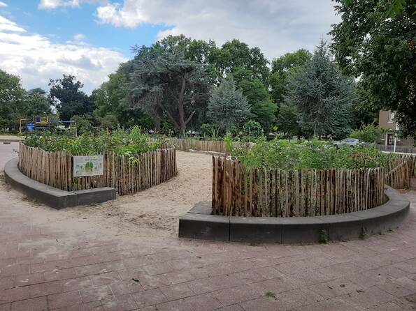 vergroot de afbeelding van Tiny Forest Bosch van Wijck Majellapark