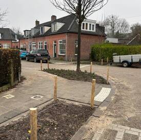 Nieuwe plantvakken en boom