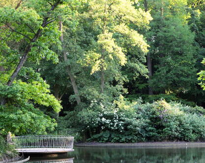 Fontein en vijver in het Julianapark