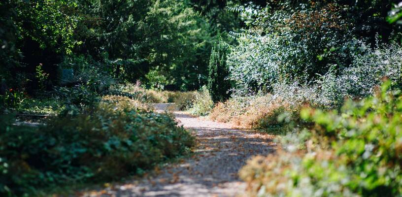 wandelpad begraafplaats Soestbergen