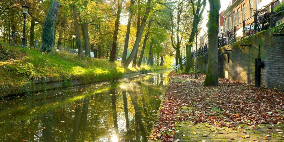 Link naar foto in Flickr: Nieuwegracht met herfstbladeren op de kade.