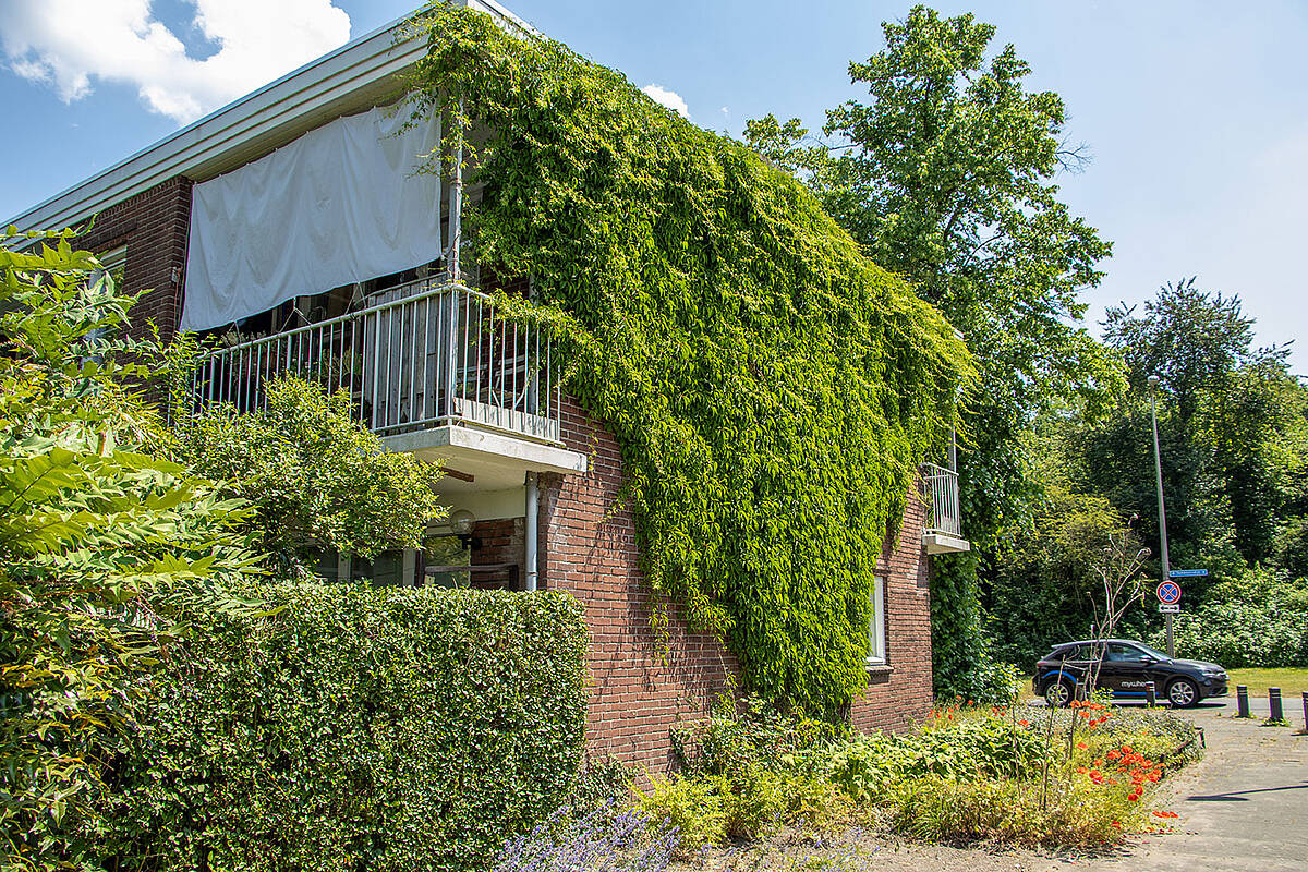 Foto huis met een groene gevels voor verkoeling