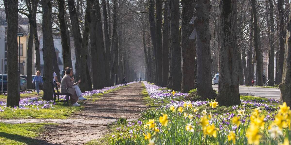 Link naar foto in Flickr: bloemetjes in de Maliebaan. Een vrouw zit op een bankje. 
