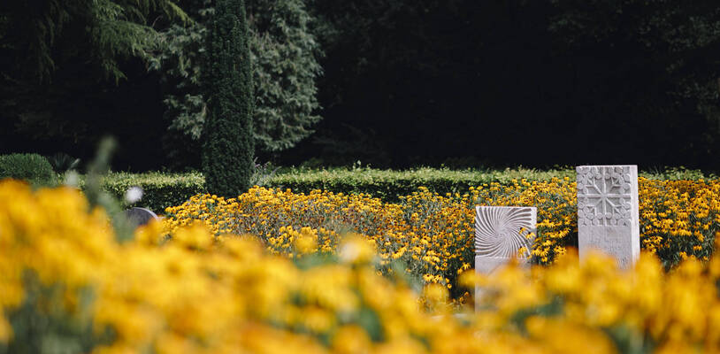 bloemen en graven begraafplaats tolsteeg