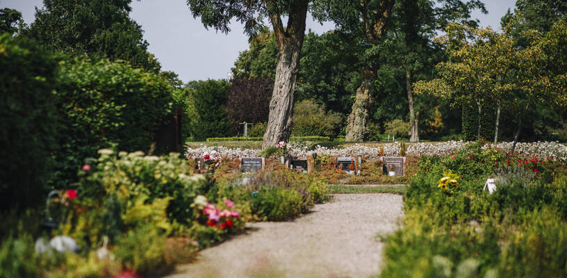 wandelpad, graven en veel groen, begraafplaats tolsteeg