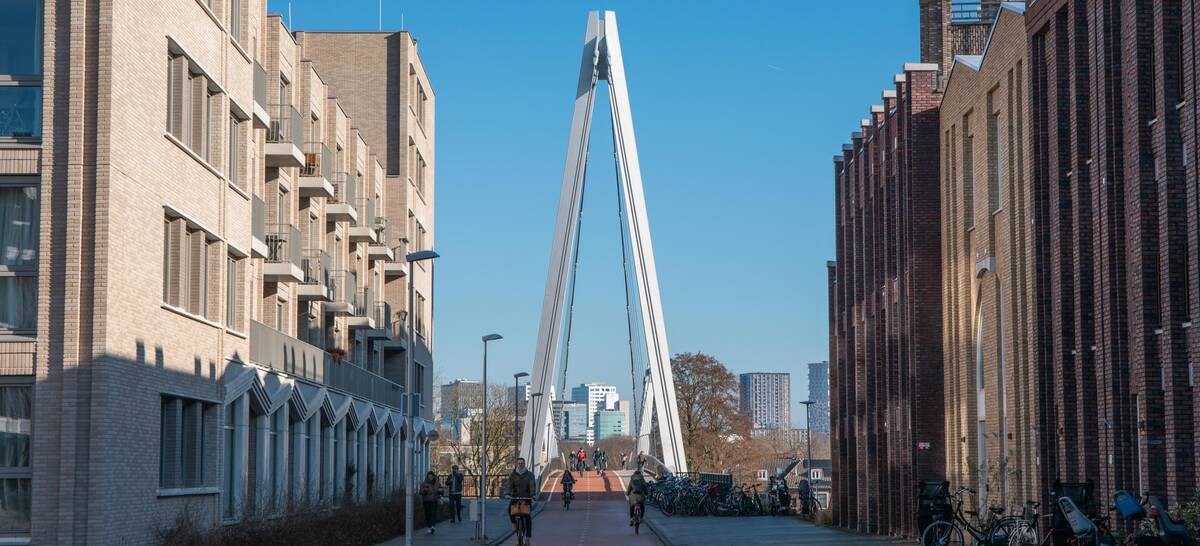 Zich op de Dafne Schippersbrug vanaf de Leidsche Rijn-kant.