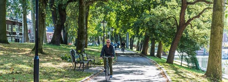 2 rijen bomen met gras ertussen, in de verte de fontein; as van Berlage in Zuilen