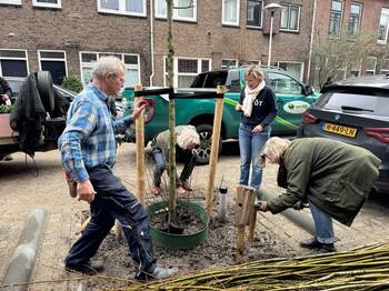 Foto van bewoners die een boom planten