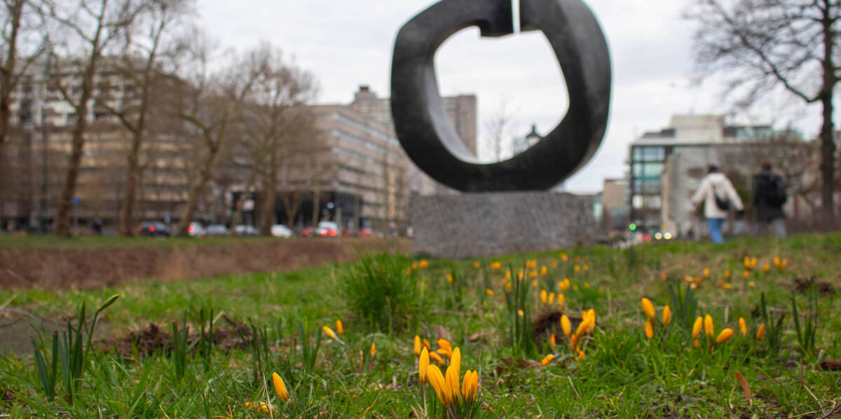 Link naar foto in Flickr: krokusjes langs de Catharijnesingel in het gras.