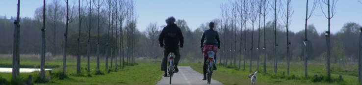 Fietsers in Ruigenhoek